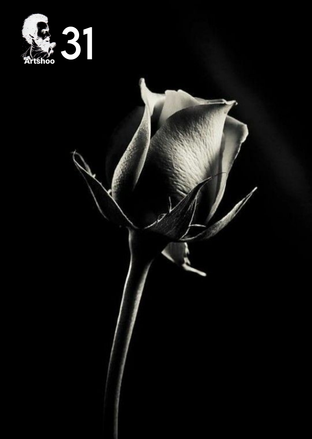 آموزش نقاشی طراحی سیاه قلم شهرری